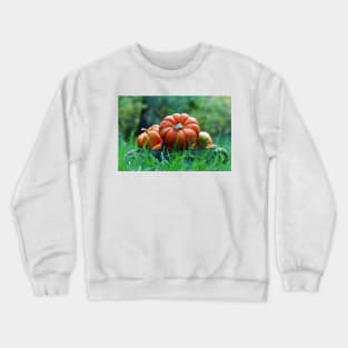 Squashes in a bucket Crewneck Sweatshirt